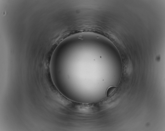 X0000091450661200708161259