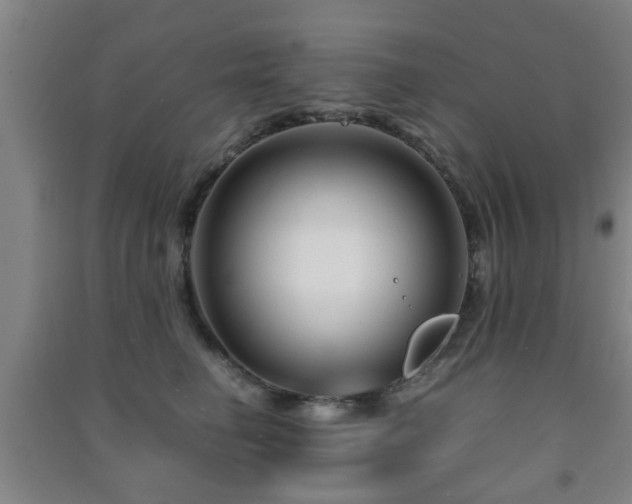 X0000091450662200708161259