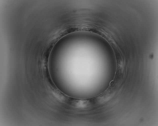 X0000091450663200708161259