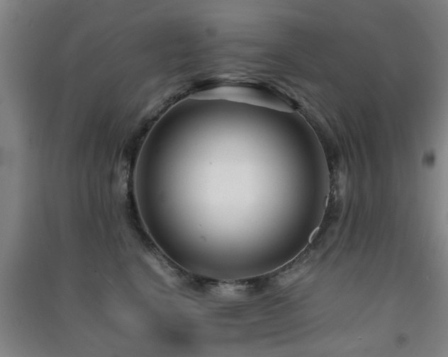 X0000091450664200708161259