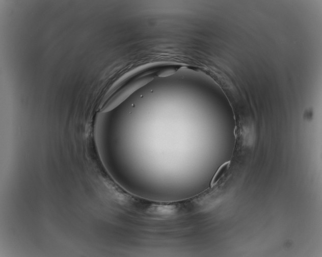 X0000091450665200708161259