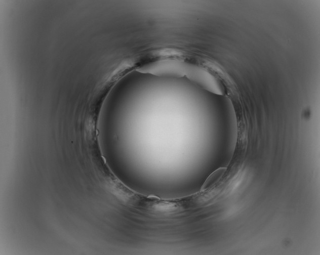 X0000091450669200708161259