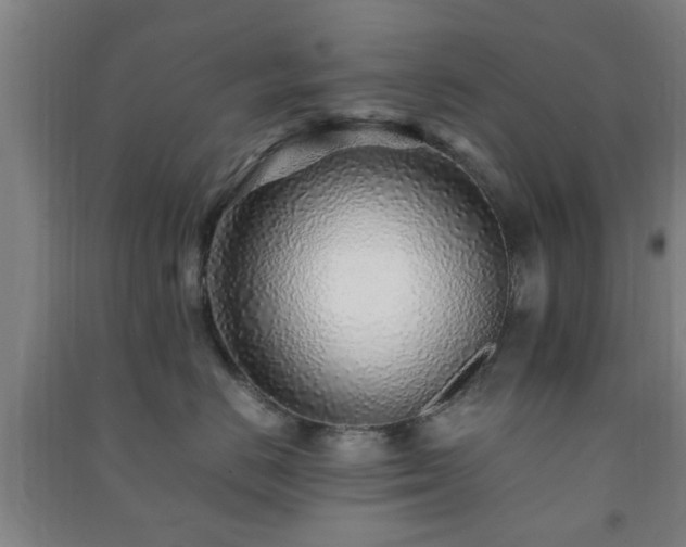 X0000091450670200708161259