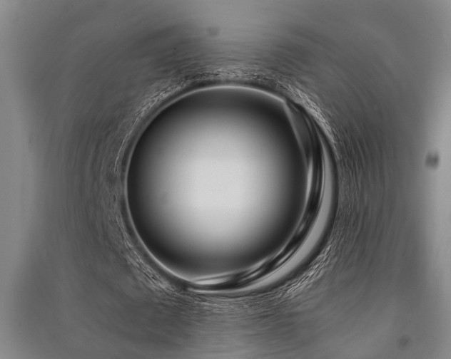 X0000091450673200708161259