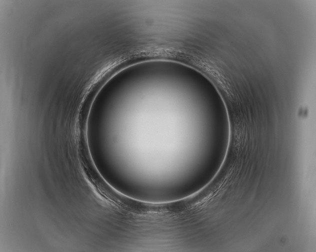 X0000091450674200708161259