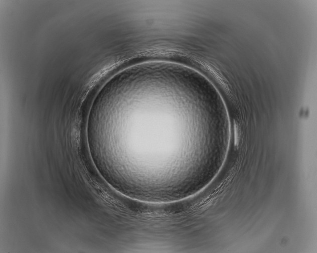 X0000091450675200708161259