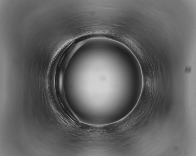 X0000091450676200708161258