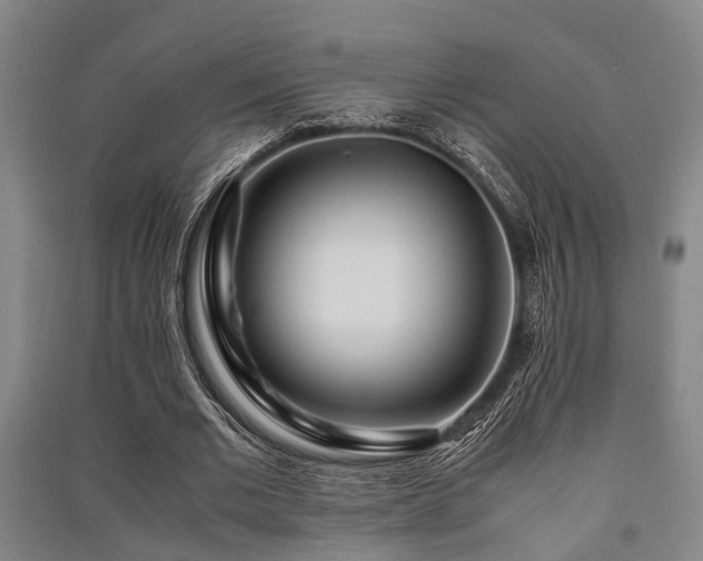 X0000091450677200708161258