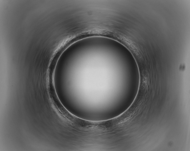 X0000091450678200708161258