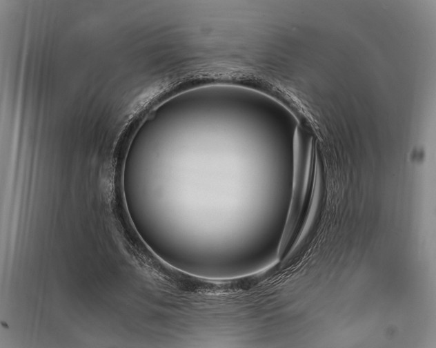 X0000091450679200708161258