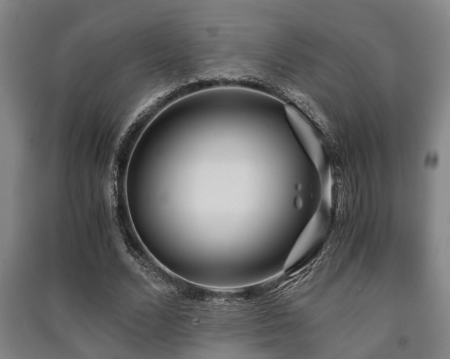 X0000091450680200708161258