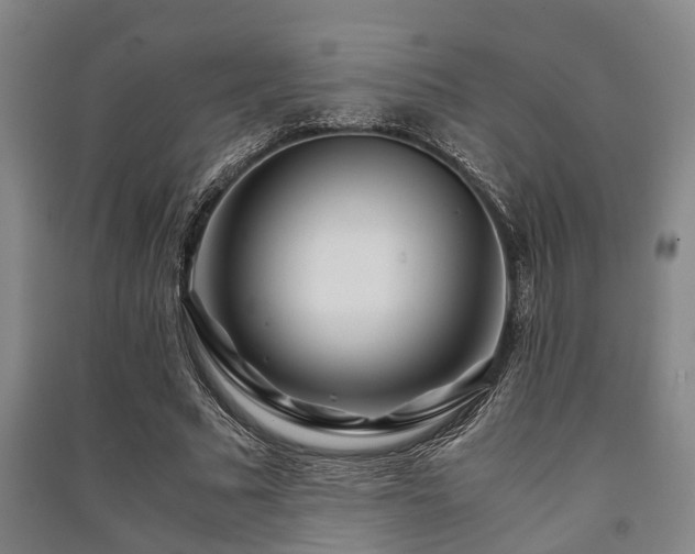 X0000091450681200708161258