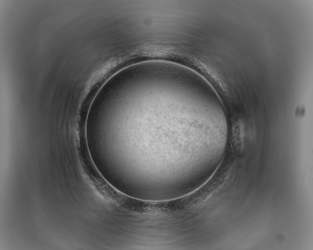 X0000091450682200708161258