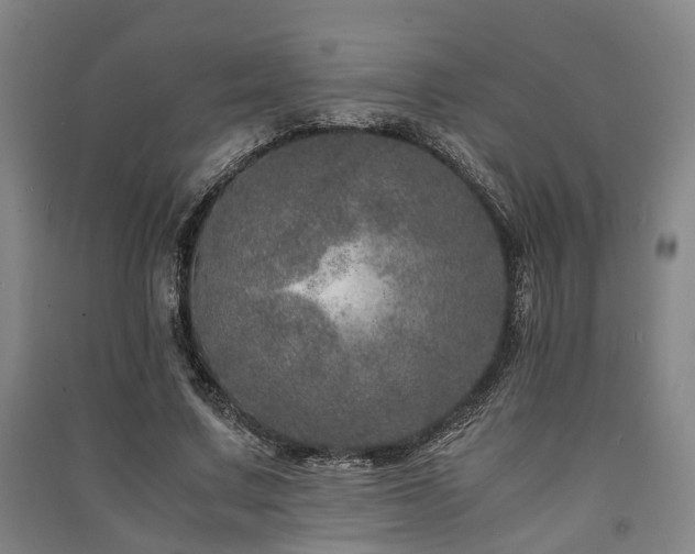 X0000091450683200708161258