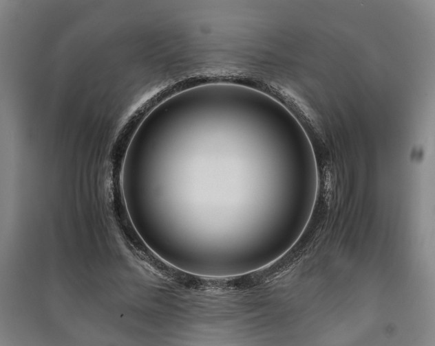 X0000091450684200708161258