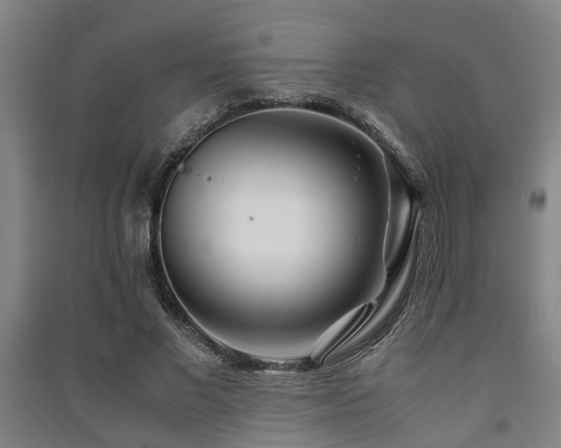 X0000091450685200708161258