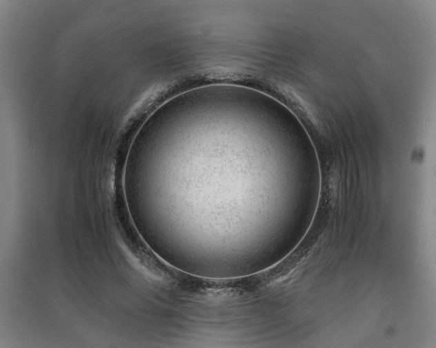 X0000091450686200708161258