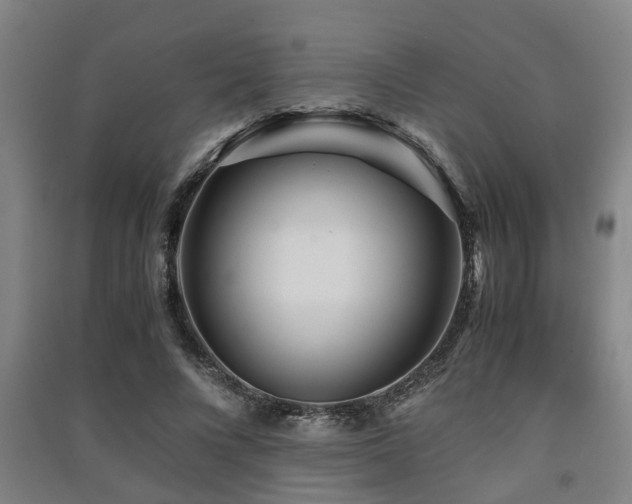 X0000091450688200708161258