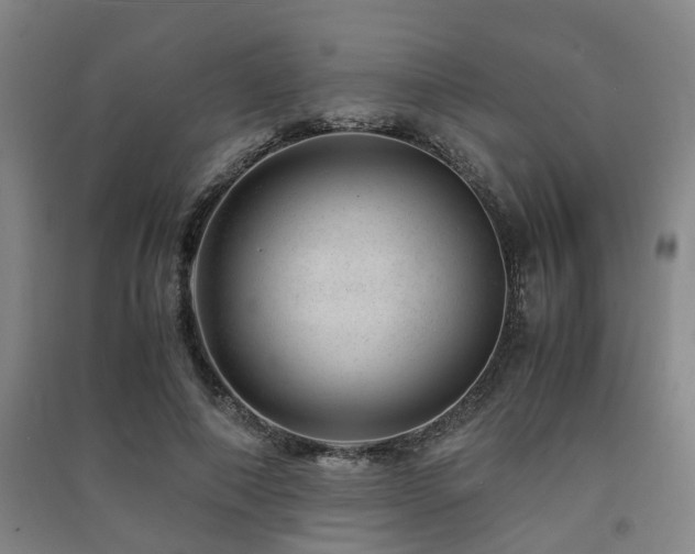 X0000091450690200708161258