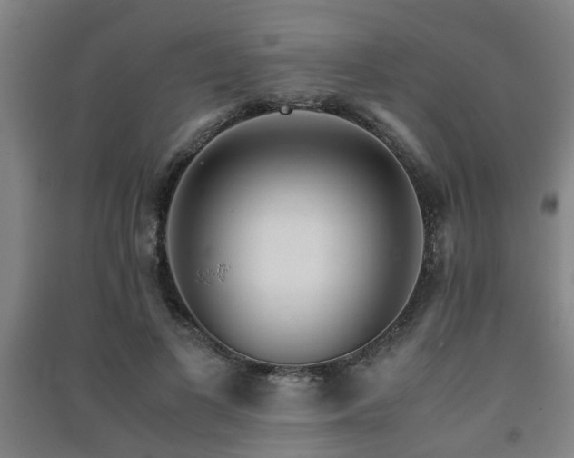 X0000091450693200708161258