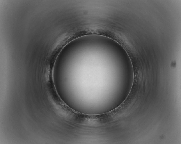 X0000091450694200708161258