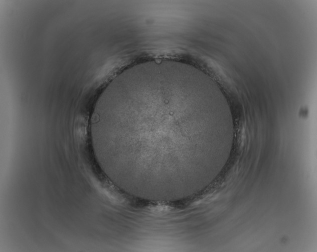 X0000091450695200708161258
