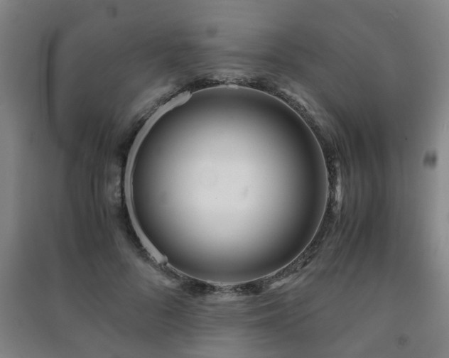 X0000091450696200708161258
