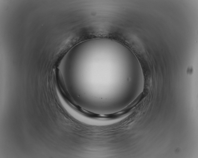 X0000091450697200708161258
