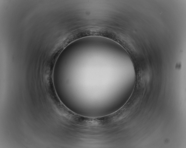 X0000091450698200708161258