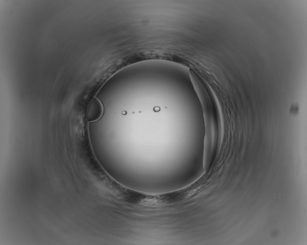 X0000091450699200708161258