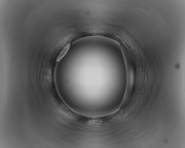 X0000091450700200708161258