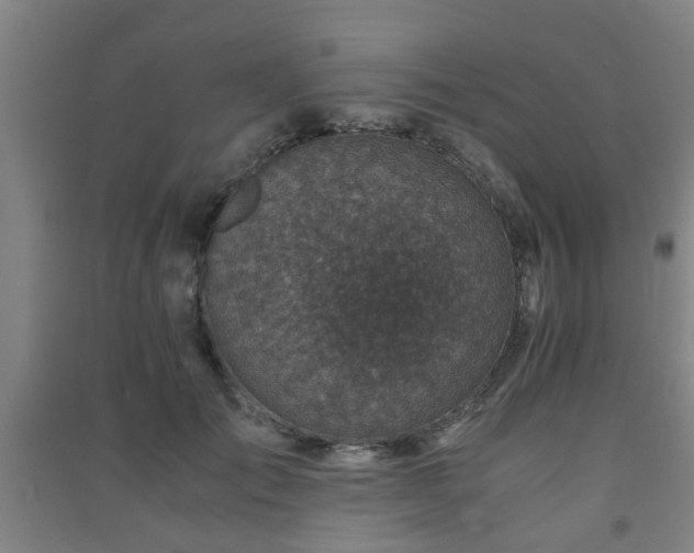 X0000091450701200708161258