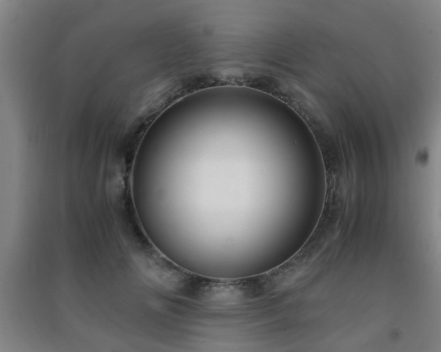 X0000091450702200708161258