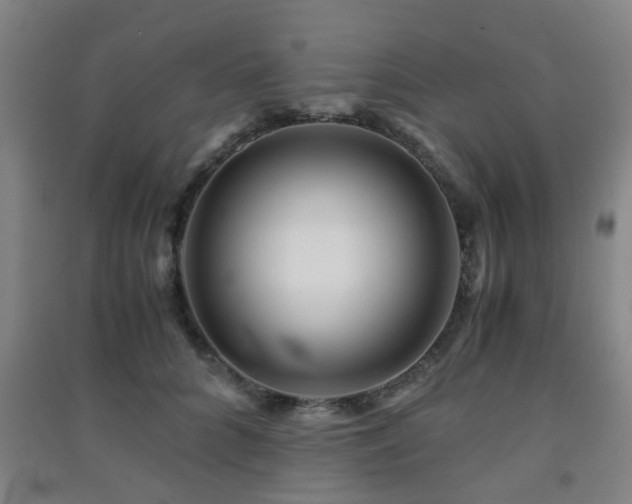 X0000091450704200708161258