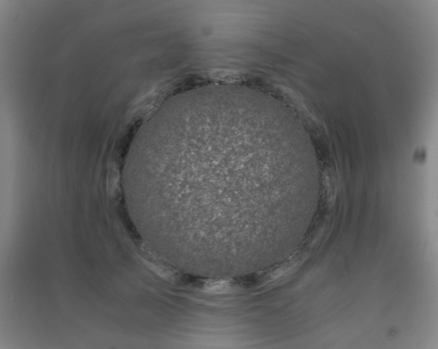 X0000091450705200708161258