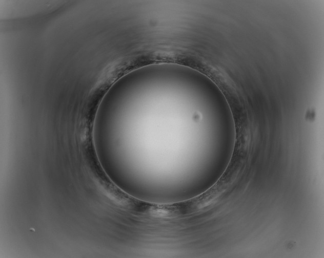 X0000091450706200708161258