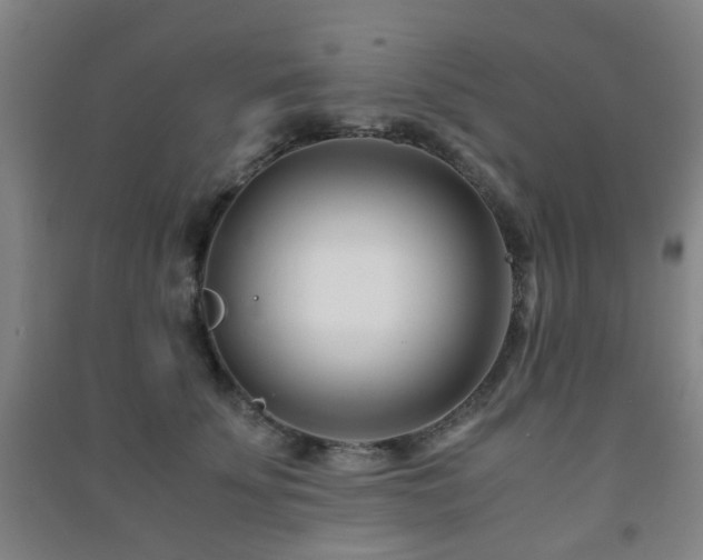 X0000091450707200708161258
