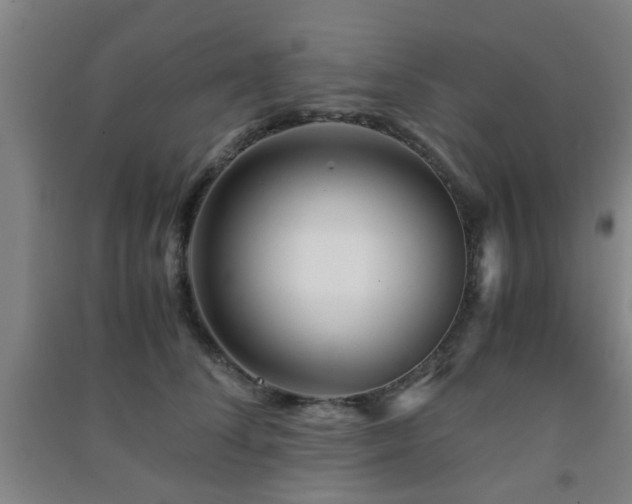 X0000091450708200708161258