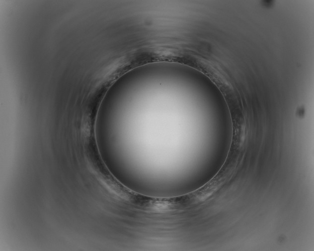 X0000091450710200708161258