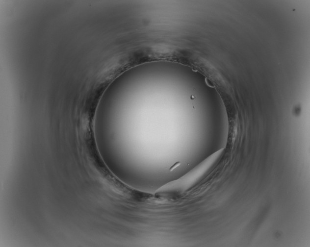 X0000091450711200708161258
