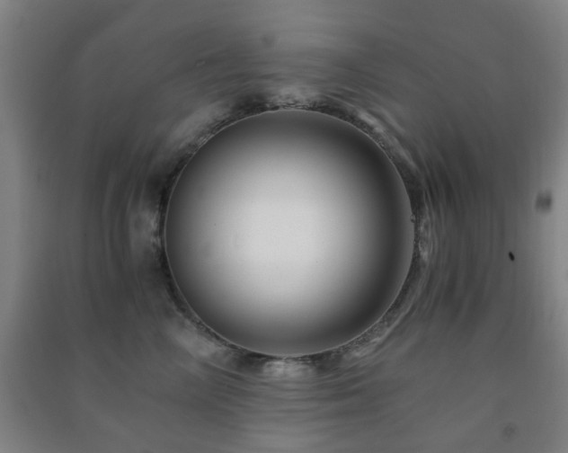 X0000091450714200708161258
