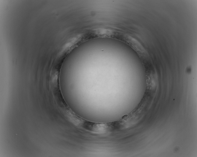 X0000091450717200708161258
