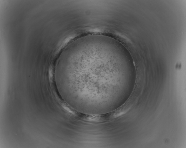 X0000091450720200708161258