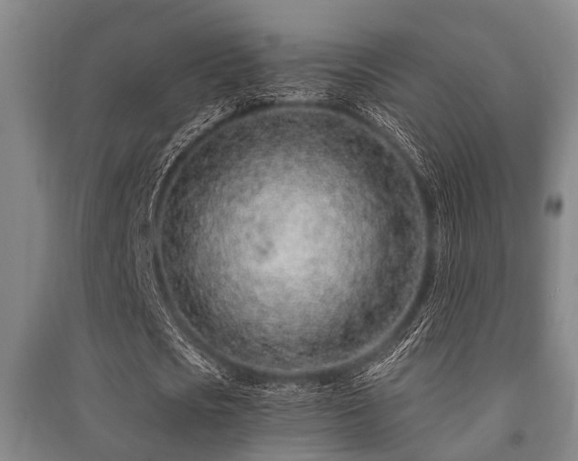 X0000091450721200708161257