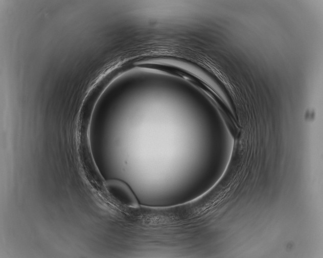 X0000091450722200708161257