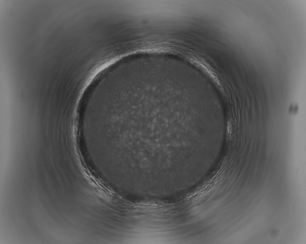 X0000091450724200708161257