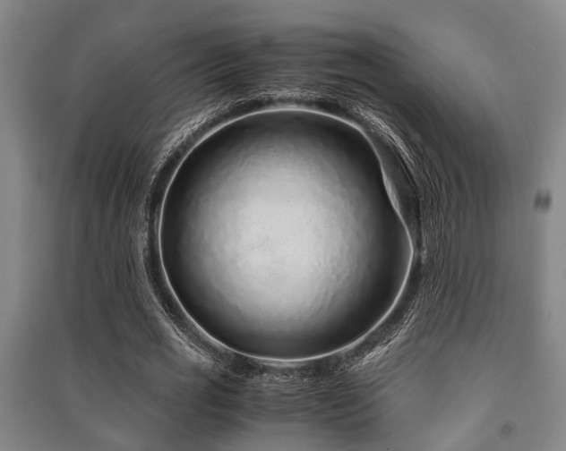 X0000091450725200708161257