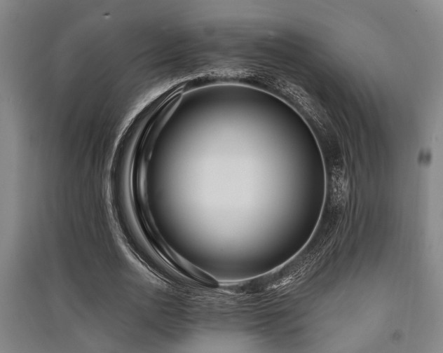 X0000091450726200708161257