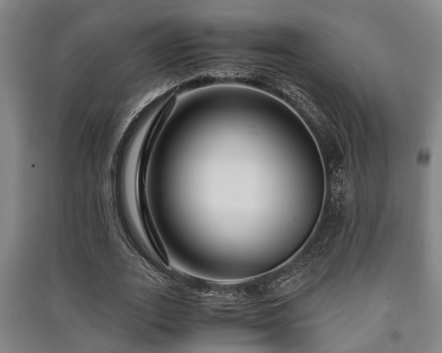 X0000091450727200708161257