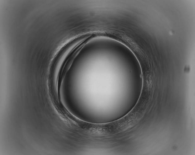 X0000091450728200708161257
